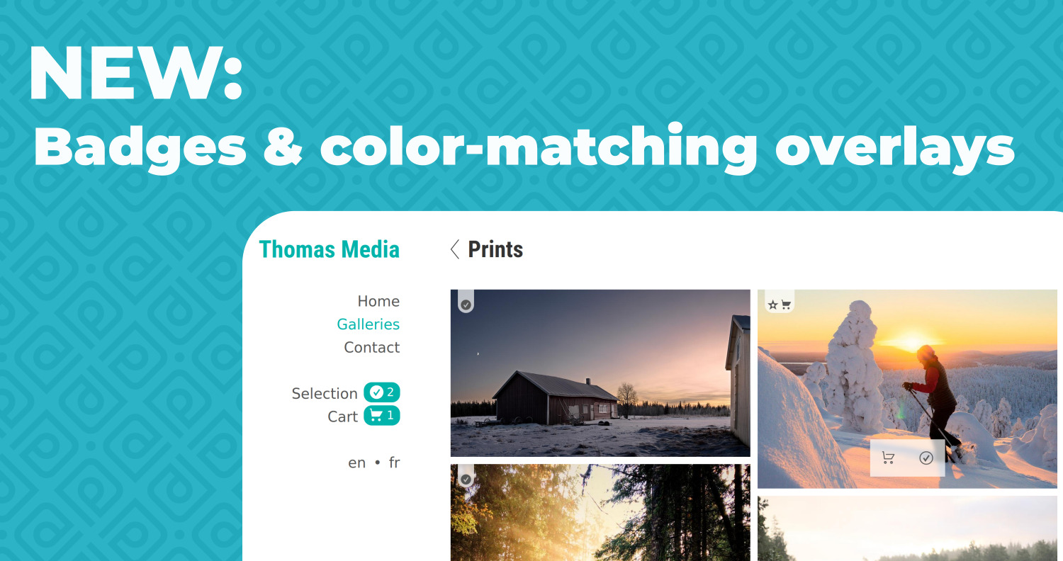 New image badges + color-matching overlays