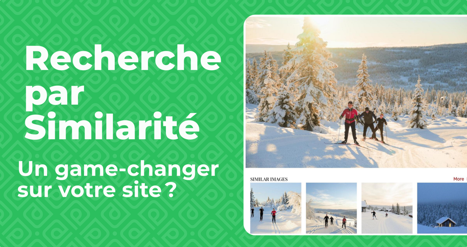 Recherche par similarite