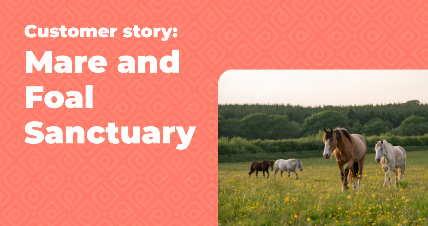 Wie das Mare and Foal-Schutzgebiet Ordnung in seine Bilddatenbank brachte