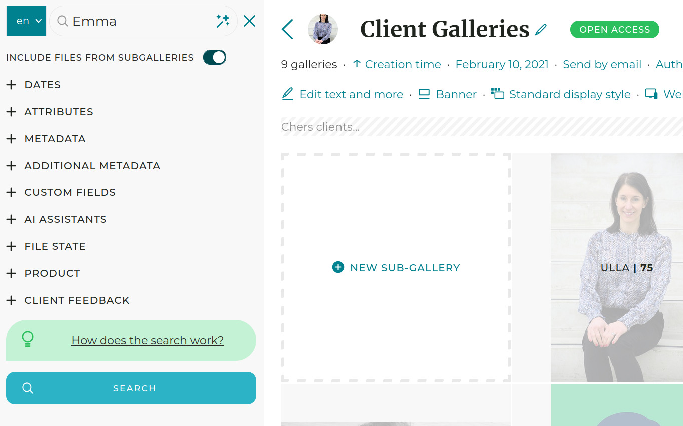 Subgallery search