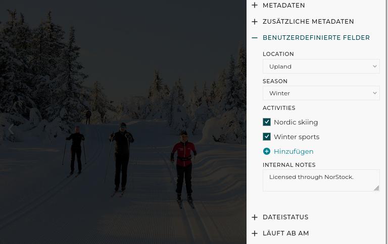 Benutzerdefinierte Felder sind in die Funktionen zur Verwaltung von Metadaten integriert