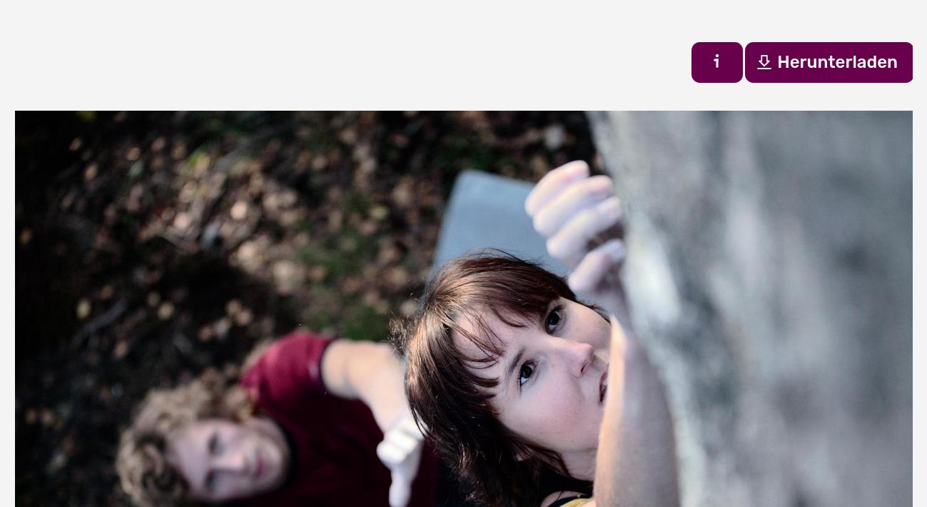 PhotoDeck bietet viele Optionen für die Herunterladen-Buttons