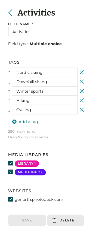 Custom fields let you pre-define tags that can be then applied to your files