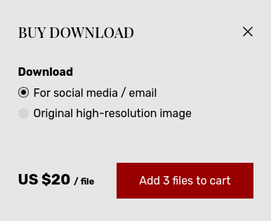 Help your customers buy multiple files easily!