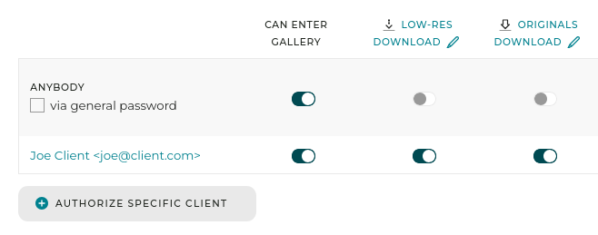Gallery access can be protected by simple password, or by login
