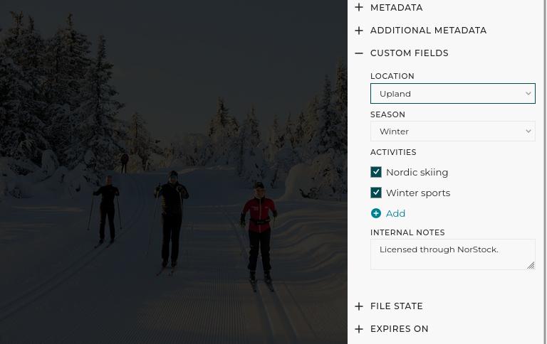 Custom fields are integrated with metadata management features