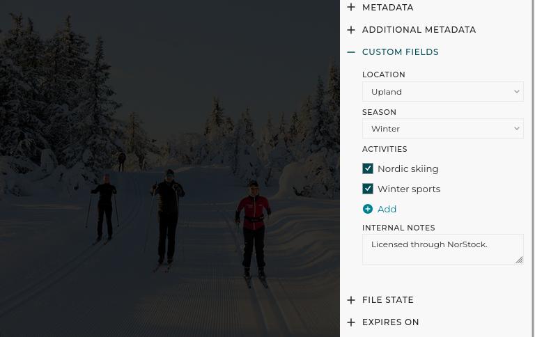 Custom fields are integrated with metadata management features