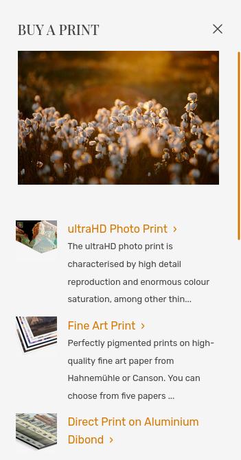 Pricing profiles prints mobile