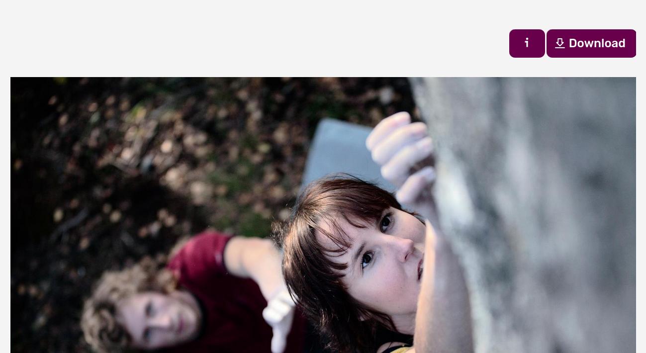 PhotoDeck offers many options for the Download buttons