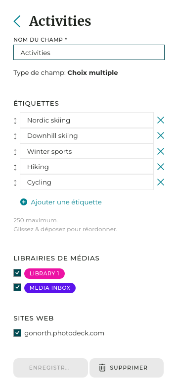 Les champs personnalisés vous permettent de prédéfinir des étiquettes qui peuvent ensuite être appliquées à vos fichiers.