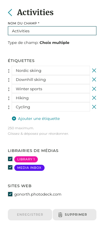 Les champs personnalisés vous permettent de prédéfinir des étiquettes qui peuvent ensuite être appliquées à vos fichiers.