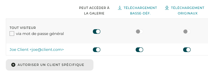 Galleries authorizations table basic