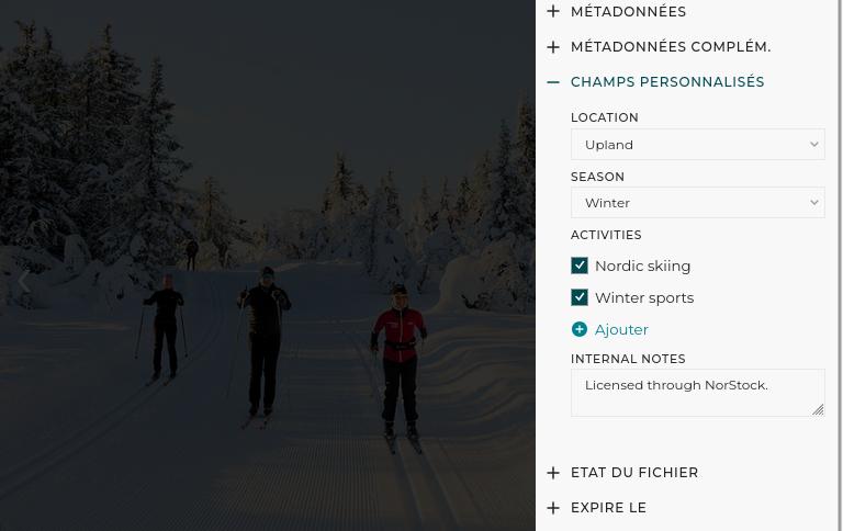 Les champs personnalisés sont intégrés aux fonctions de gestion des métadonnées