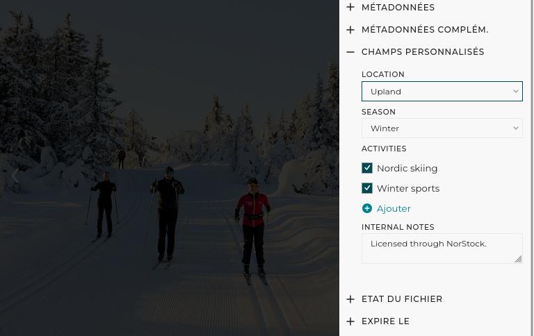 Les champs personnalisés sont intégrés aux fonctions de gestion des métadonnées