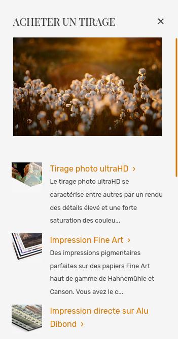 Vente d’images