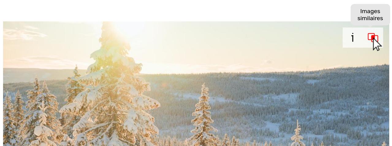 Public website media enlarged similar button