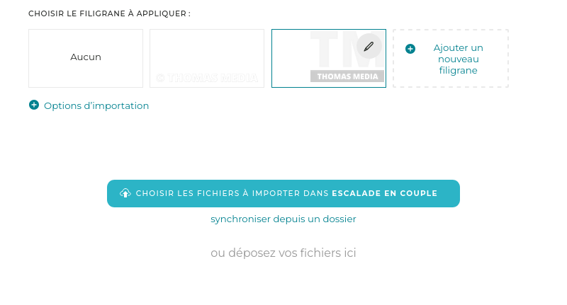 Vous pouvez sélectionner différents filigranes pour différentes séries lors du téléchargement.
